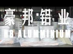 vlog 16